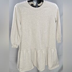 Paris Atelier & Other Stories Oversize Elevated Basic Sweatshirt Dress, Small